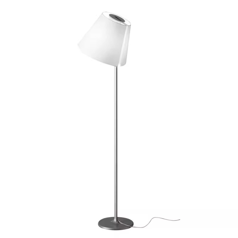  Frosted Glass/Acrylic Standing Lamp BN-FL010