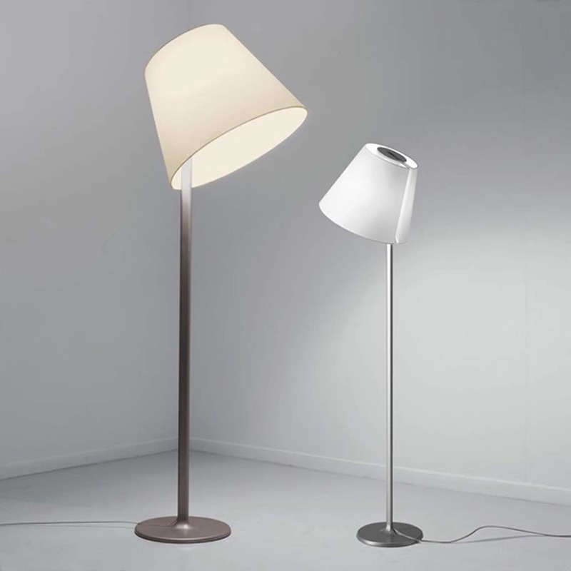  Frosted Glass/Acrylic Standing Lamp BN-FL010