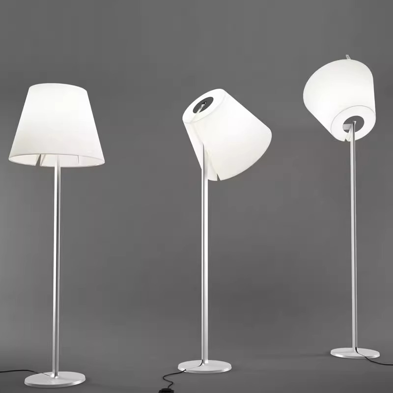  Frosted Glass/Acrylic Standing Lamp BN-FL010